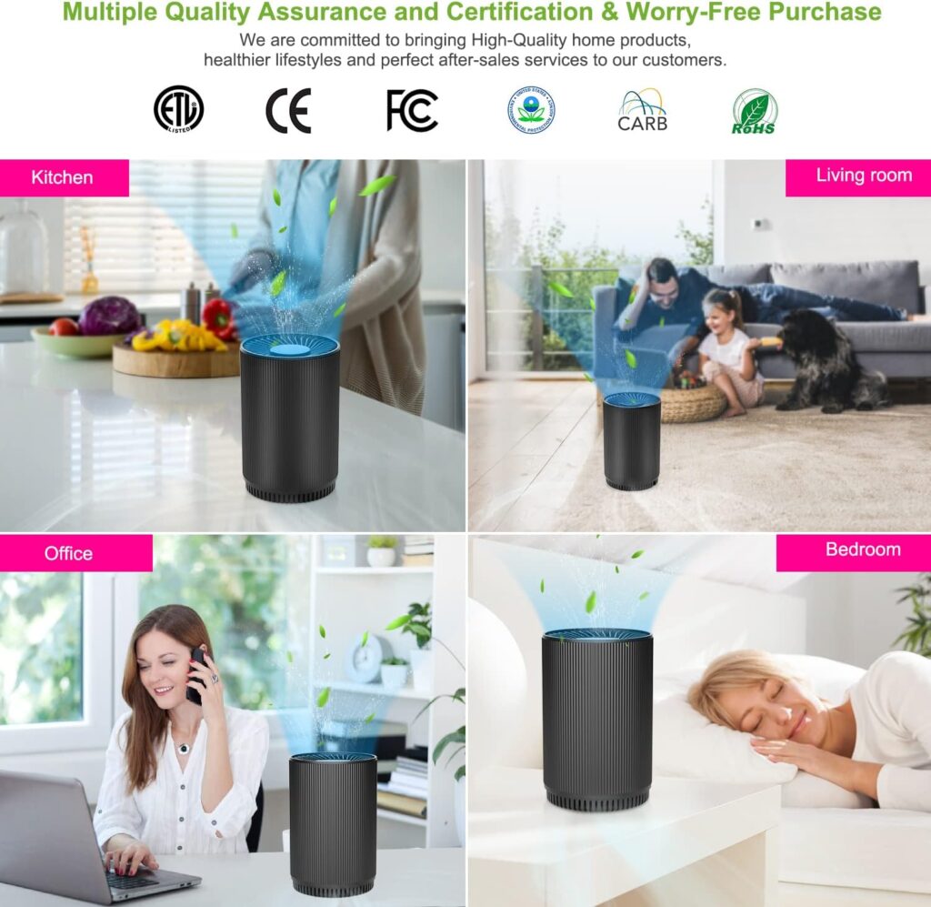 2 Pack Druiap Air Purifiers for Home Bedroom up to 690ft², H13 True HEPA Filter Air Cleaner Filterable 99.97% Micron Particles/Smoke/Pet Dander/Odor/for Office, Dorm, Apartment, Kitchen (KJ80 Black) : Home  Kitchen