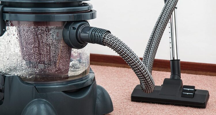 best vacuum cleaner for pet owners