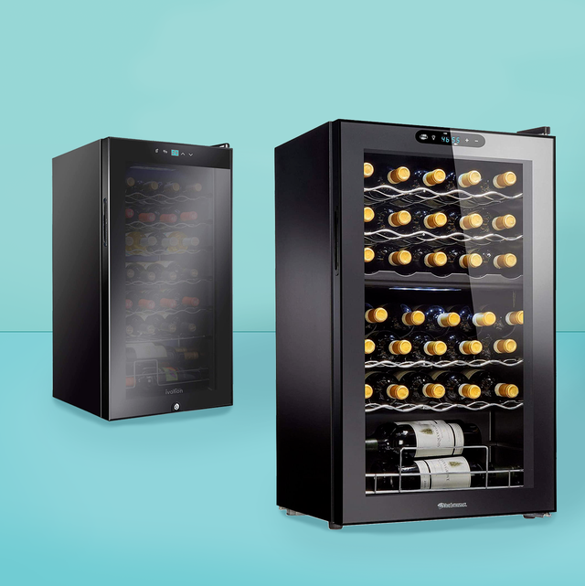 Best Freestanding Wine Fridge: Which Freestanding Wine Fridges Are Leading The Market In 2023?