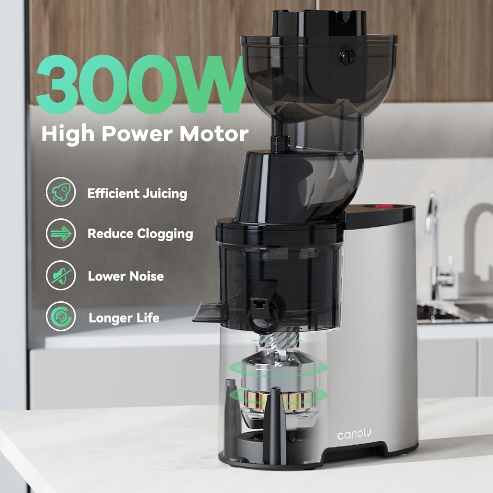 Masticating Juicer Machines, 3.5-inch (88mm) Powerful Slow Cold Press Juicer with Large Feed Chute, Electric Masticating Juicers for Vegetables and Fruits, Easy to Clean with Brush